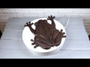 Pack Of 3 Cast Iron Amphibian Tree Frog Garden Stepping Stone Pave Foot Steps
