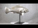 Ocean Marine Silver Tone Serranidae Grouper Fish Sculpture On Metal Pole Stand