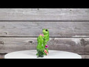 The Proposal Green Toad Frog Kneeling Before Mate with Bouquet of Roses Figurine