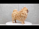 Lifelike Adorable Pet Pal Pomeranian Puppy Dog Standing Figurine