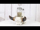 Rustic Western Cow Skull With Roped Horns Salt Pepper Glass Shakers & Holder Set