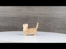 Realistic Curious Feline Orange Tabby Munchkin Cat Kitten Mini Figurine