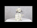 Pup And Spice Wide Eyed Cute Labrador Puppy Dog Glass Salt & Pepper Shakers Set