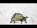 Marine Reptile Lifelike Galapagos Tortoise Taxidermy Replica Figurine 8"L
