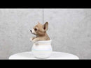 Pet Taco Chihuahua Teacup Puppy Dog Figurine With Glass Eyes Pup In Pot