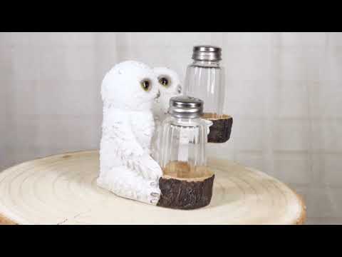 Snowy Owl Salt and Pepper Shaker Holder