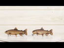 Set Of 2 Western Nautical Marine Trout Fish Faux Wooden Cabinet Bar Pull Knobs