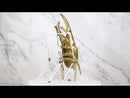 Medium Gold Resin Hercules Rhinoceros Beetle Wall Decor Or Tabletop Figurine