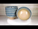 Pack Of 5 Blue River Ao Nagashi Medium Soup Salad Rice Donburi Poke Bowls 24oz