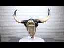 Southwest Longhorn Cow Steer Skull With Texas Lone Star State Flag Plaque
