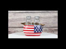 US Navy Sailor Eagle Anchor Trident Emblem And Flag Salt Pepper Shakers Holder