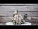 Nautical Marine Turtle Tortoise Mother Piggybacking Hatchlings Family Figurine