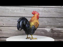 Rustic Western Proud Country Chicken Rooster In Stately Pose Figurine 8"Tall