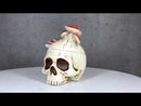Wicca Gothic Toadstool Mushrooms And Fungi Skull Decorative Trinket Box Figurine