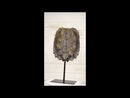 Ebros Large Nautical Reptile Alligator Snapping Turtle Shell Sculpture On Museum Stand