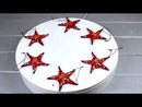 Set Of 6 Red Starfish Sea Stars Ocean Marine Wall Hanging Decor Tree Ornaments