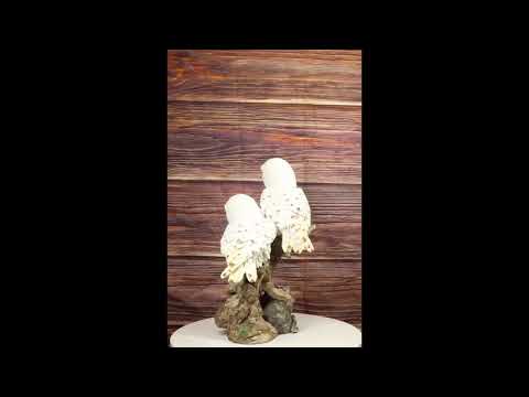 Snowy Owl Couple on Tree Branch Figurine | Ebros Gift