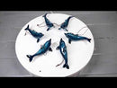 Set Of 6 Nautical Blue Dolphins Ocean Marine Wall Hanging Decor Tree Ornaments