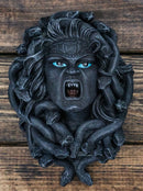 Greek Mythology Gorgon Medusa Gargoyle With Snake Hairs Wall Beer Bottle Opener