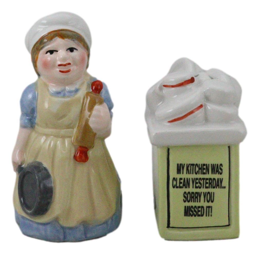 Mother With Dishes Chores 'My Kitchen Was Clean Yesterday' Salt Pepper Shakers