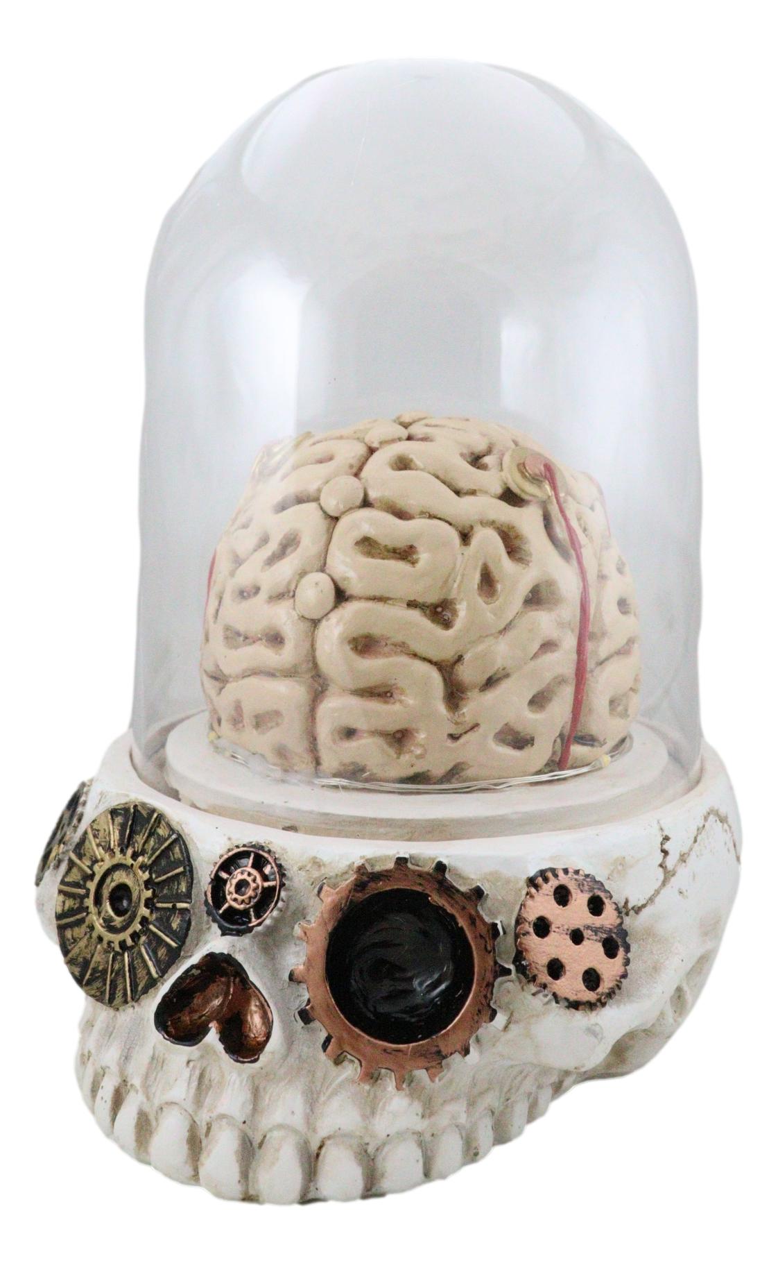 Steampunk Apothecary Gearwork Skull With Brains In LED Light Cloche Glass Dome