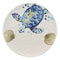 Marine Blue Sea Turtle And Golden Sea Shells Ceramic Dinner Plates Set Of 2