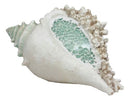 Large Ocean Sea Shell Conch Statue With Mosaic Crushed Glass 7"L Seashells Art