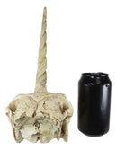 Ebros Fossil Unicorn Skull Rare Mythical Phantom Creature Skeleton Figurine