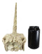 Ebros Fossil Unicorn Skull Rare Mythical Phantom Creature Skeleton Figurine