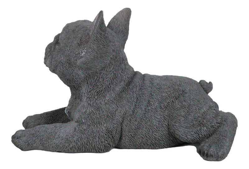 Realistic Lifelike Gray French Bulldog Puppy Sitting On Belly Figurine Frenchie
