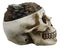 Ebros Day of The Dead Gold Coins Dollar Bills Grinning Skull Decorative Stash Box
