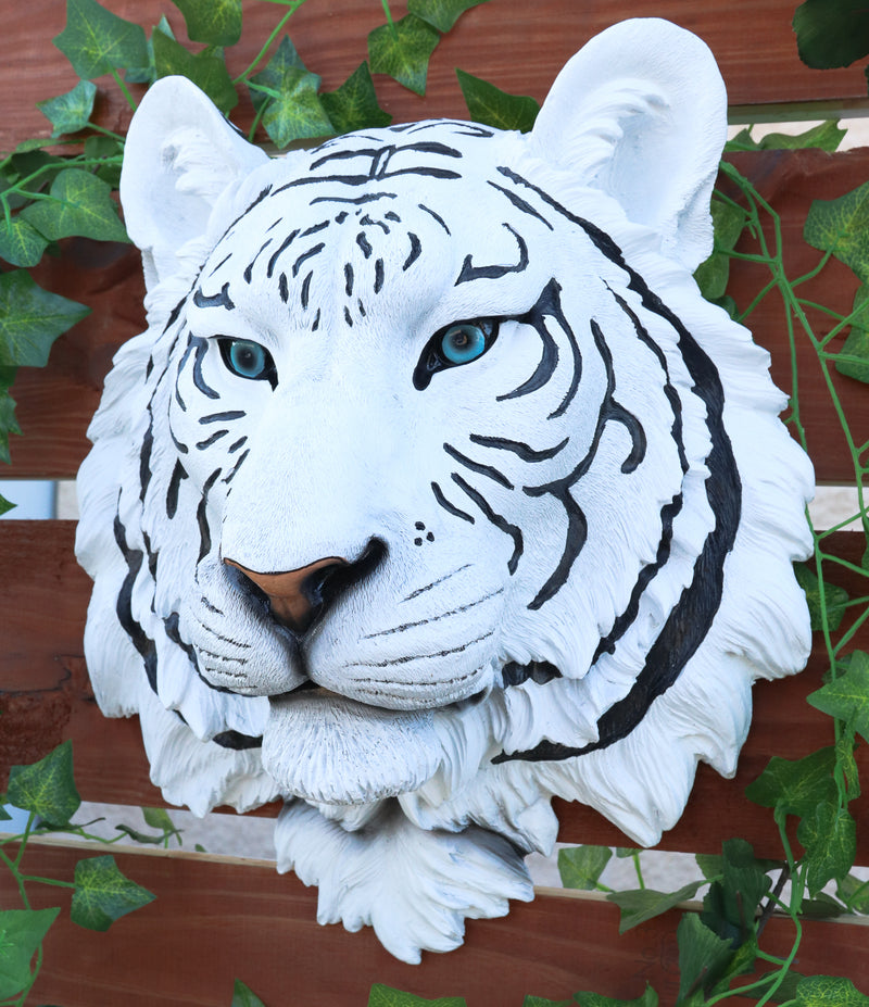 Rare Blue Eyed White Tiger Wall Bust Sculpture Blue Ice Predator Forest Figurine