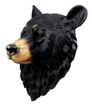 Ebros Large Olympic Black Bear Head Wall Decor Plaque 16"Tall Taxidermy Bust