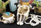 Set Of 2 Southwest Rustic Cow Skull With Cross And Aztec Patterns Trinket Boxes