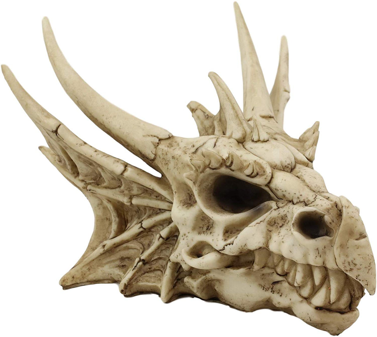 Ebros Elder Jurassic Dragon Head Skull Realistic Fossil Statue 9" Long Figurine - Ebros Gift