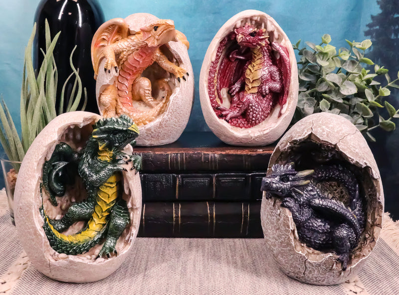 Ebros Set of 4 Fossil Dragon Hatchlings Breaking Out of Egg Shell Figurines 5" H