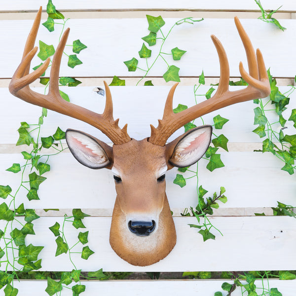 12 Point Buck Trophy Taxidermy Wall Decor Deer Head W/ Antlers