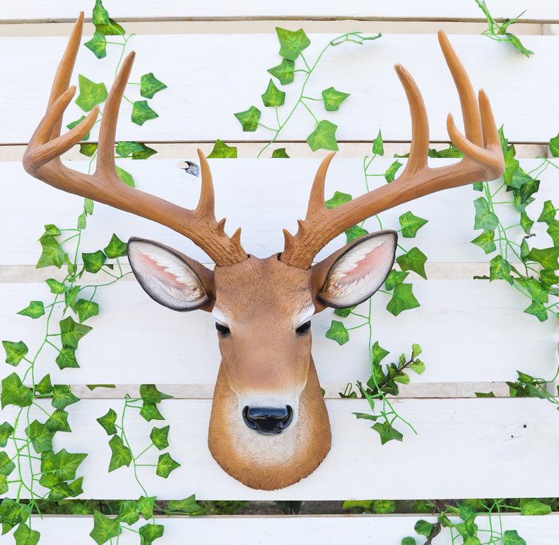 Rustic Hunter Rack Deer Skull Antler Wall Plaque Decor 10 Point Buck  Figurine