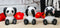 Ebros Whimsical See Hear Speak No Evil Giant Pandas Set of 3 Figurine 2"H