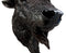 Ebros Large Bison Buffalo Hanging Wall Decor Sculpture Plaque Figurine 18.5" H