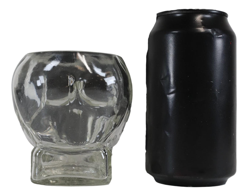 Ebros Skeleton Skull Glass Bowl Drink Stationery Office Holder Figurine Collectible
