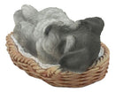 Realistic Miniature Schnauzer Puppy Sleeping In Wicker Basket Figurine 7"Long