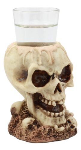 Gothic Ossuary Graveyard Melting Skull Shot Glass Holder Figurine 5"Tall Liquor