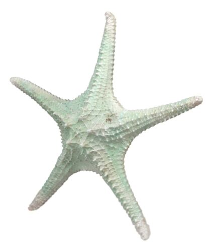 Jumbo Ocean Coral Sea Star Shell Starfish Statue 11"L Nautical Coastal Decor
