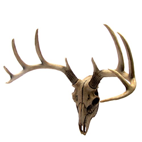 Ebros 18."L 10 Point Buck Head Wall Mount Resin Stag Deer Skull Antler Sculpture - Ebros Gift