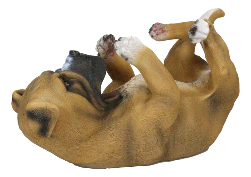 Ebros Canine Pedigree Adorable Fawn Boxer Dog Wine Oil Bottle Holder Figurine Kitchen