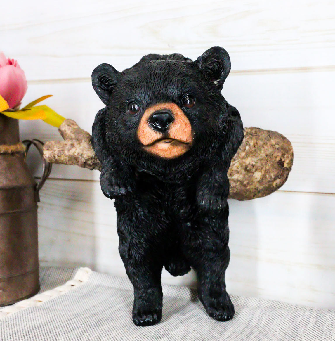 Rustic Western Forest Black Bear Cub Frolic Dangling On Tree Branch Wall Decor
