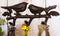 Cast Iron Rustic Lovebirds Perching On Leafy Twig Branch 3-Pegs Wall Coat Hook