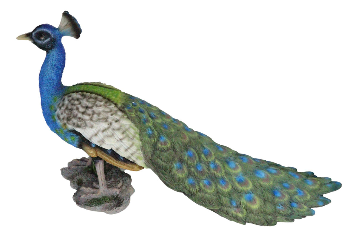 Elegant Iridescent Blue Peacock with Beautiful Train Feathers Decorative Statue