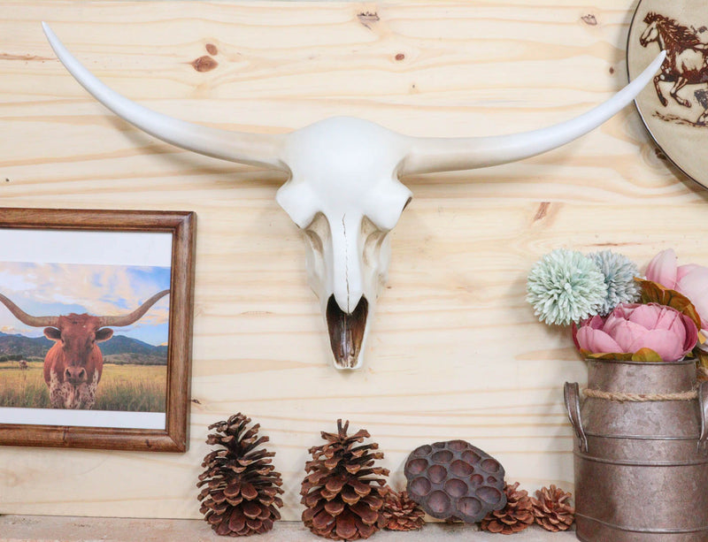 Rustic Western Texas White Longhorn Steer Cattle Cow Skull Wall Decor ...